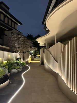 成都南门私家独栋   1100m²  现代庭院